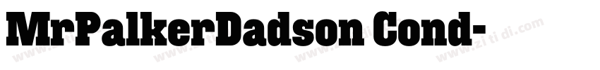 MrPalkerDadson Cond字体转换